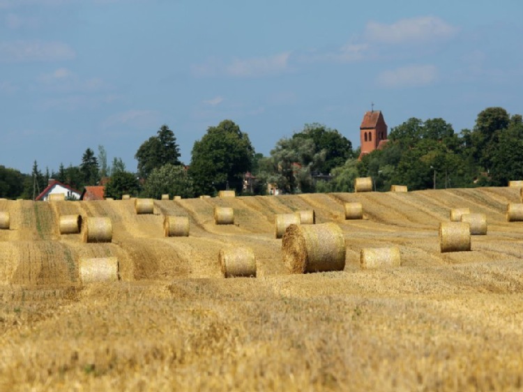 Rząd przyjął projekt nowelizacji ustawy o podatku rolnym